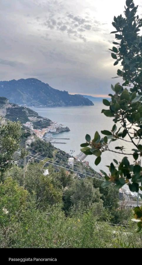 La Scivitella Amalfi